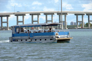 Indian River Lagoon and Swampland Boat Tours Fort Pierce FL - South Florida Wildlife Boat Tour, Dolphin, Manatee, Birds, Turtles, Fish and more.